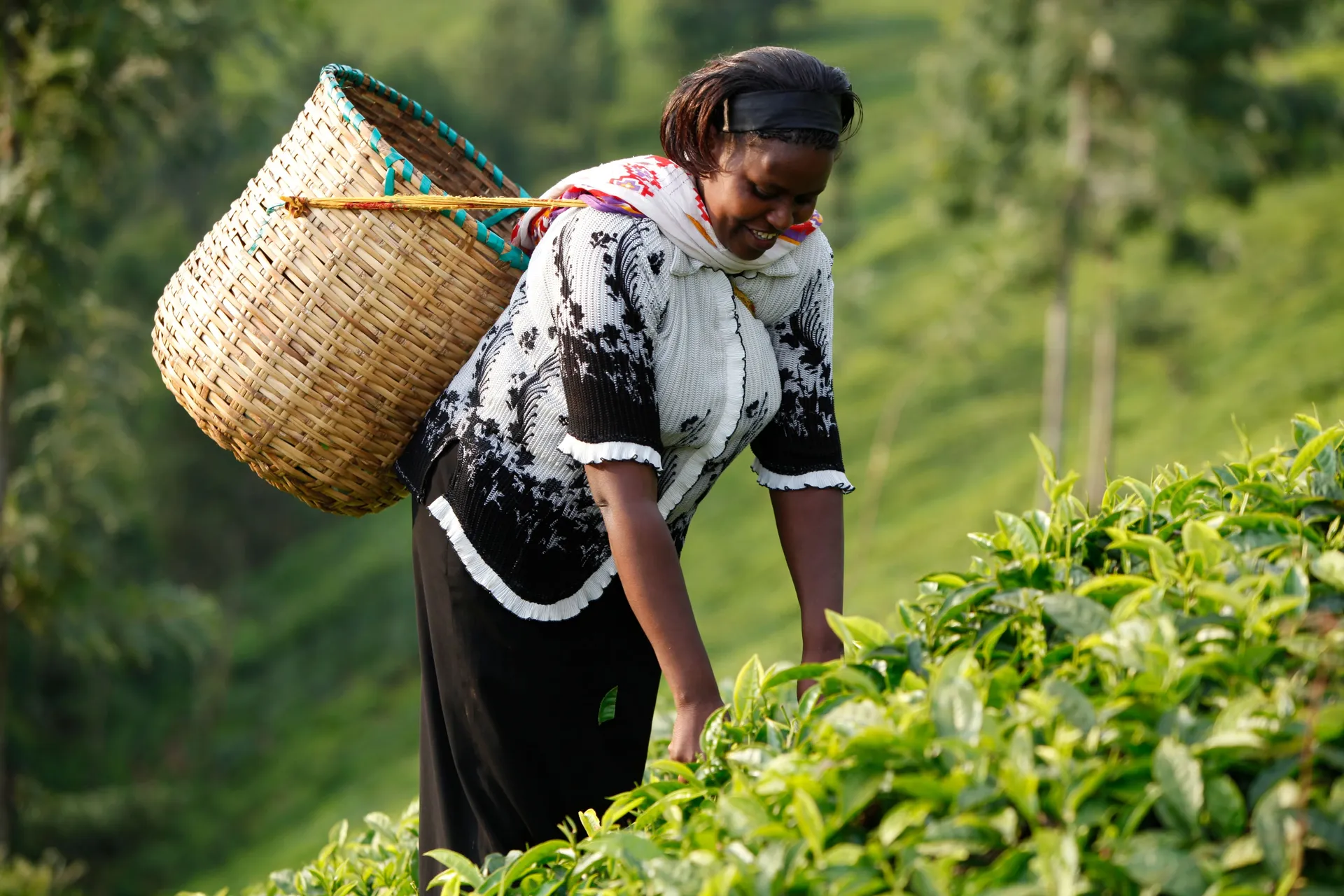 Neema can expand her small farm thanks to a money transfer from abroad